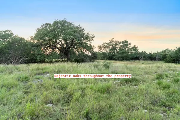 Driftwood, TX 78619,262 Cuesta PASS
