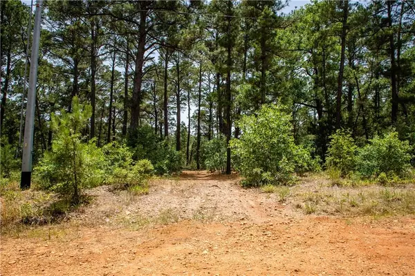 001 Pebble Walk CT, Bastrop, TX 78602