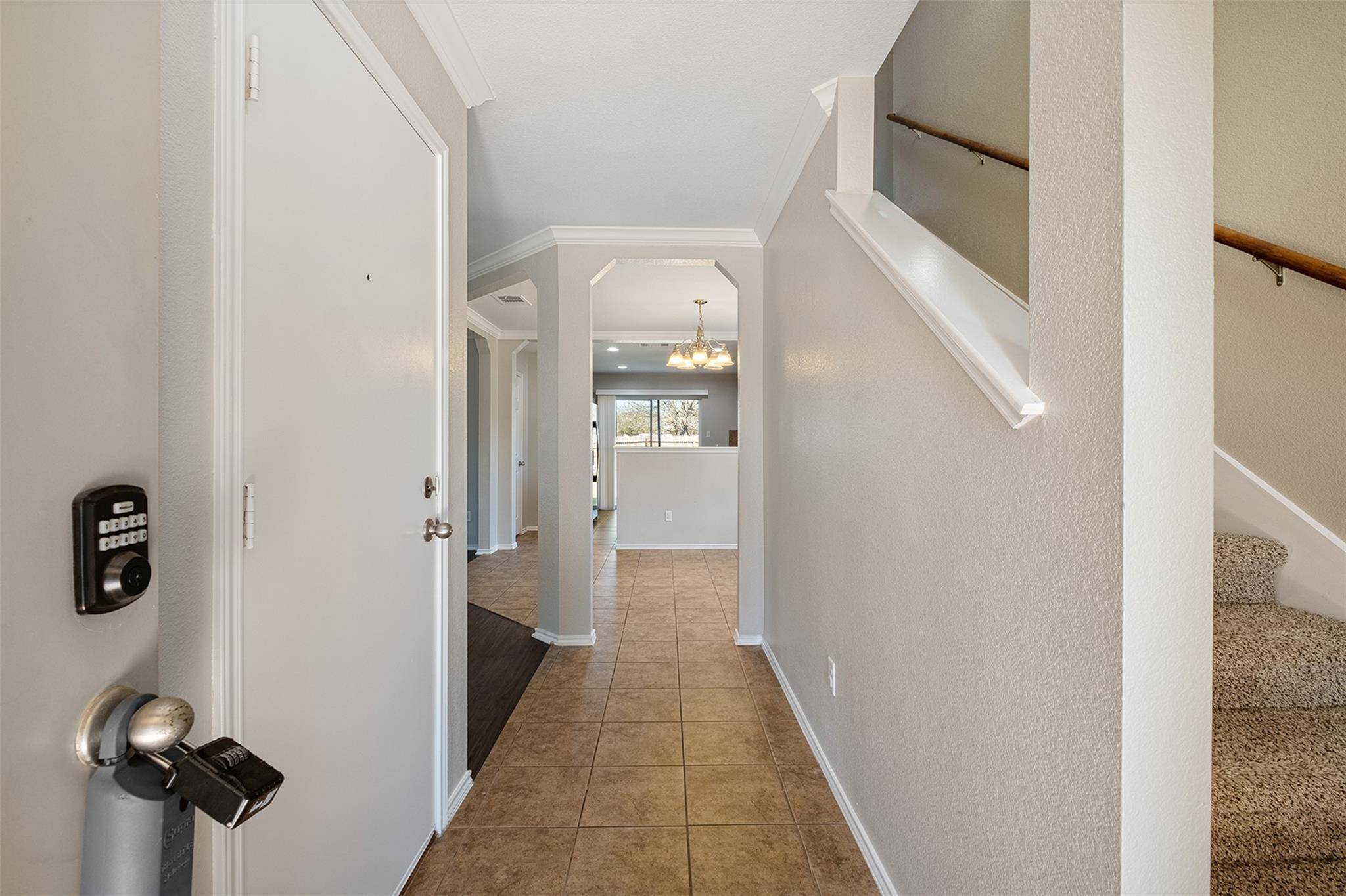 Leander, TX 78641,100 Snowy Egret LN
