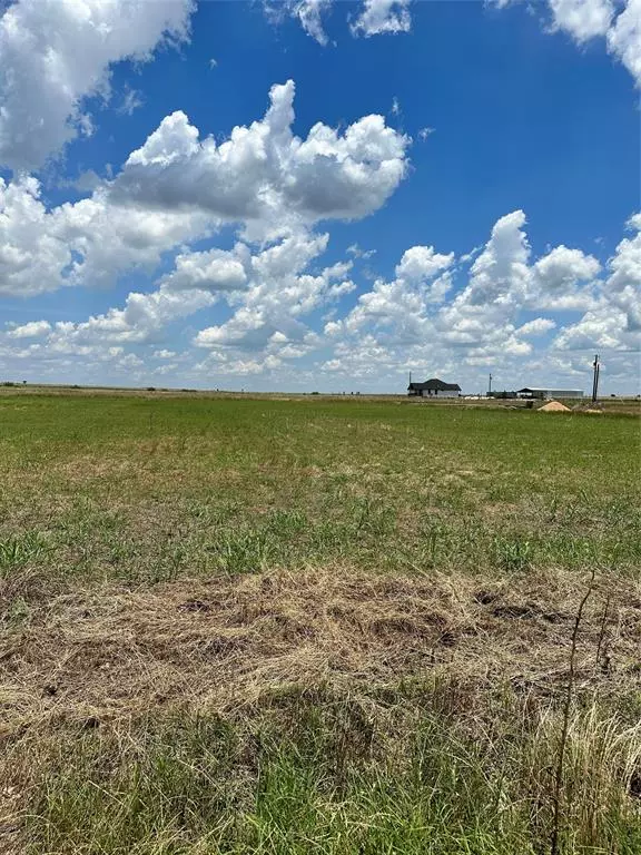 2905 COUNTY ROAD 463 LOT 8 RD,  Elgin,  TX 78621