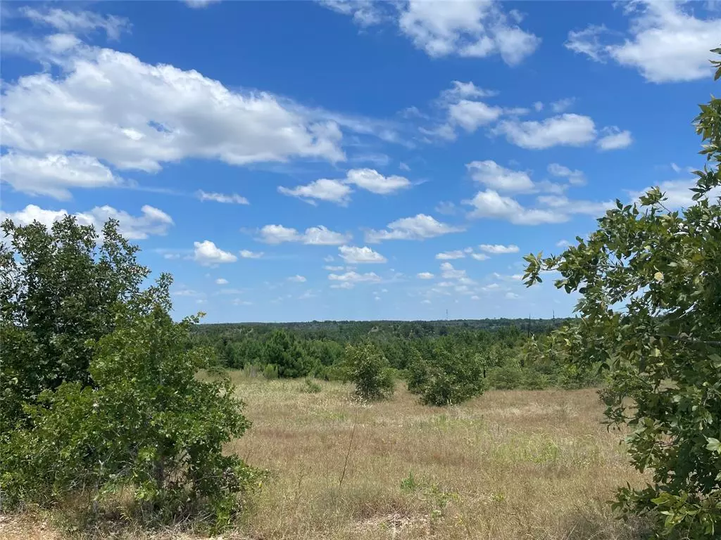 Smithville, TX 78957,475 Cottletown RD