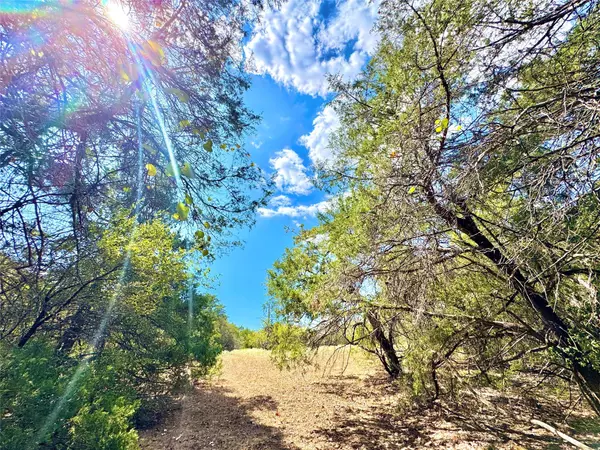 Rosanky, TX 78953,TBD 50.62 Acres Rabel RD