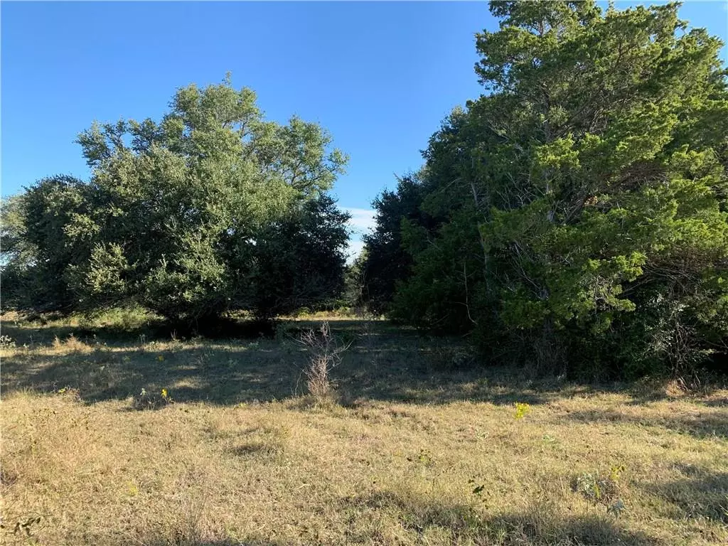 Flatonia, TX 78941,000 E Old Hallettsville RD