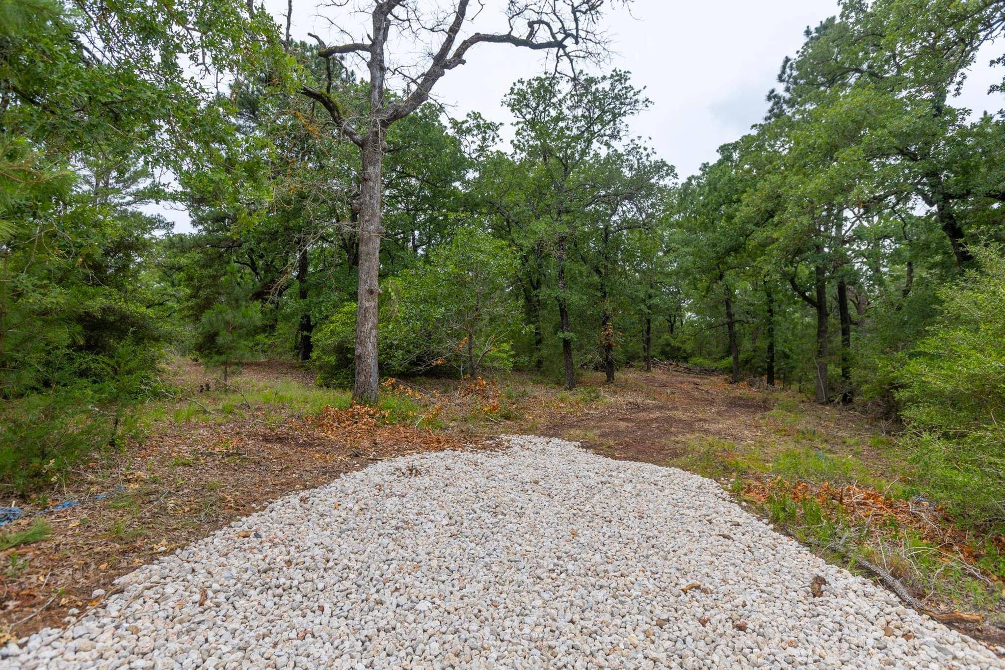 Paige, TX 78659,492 S Old Potato RD