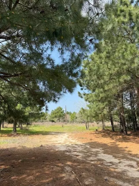 Paige, TX 78659,186 Hook Em Horns DR