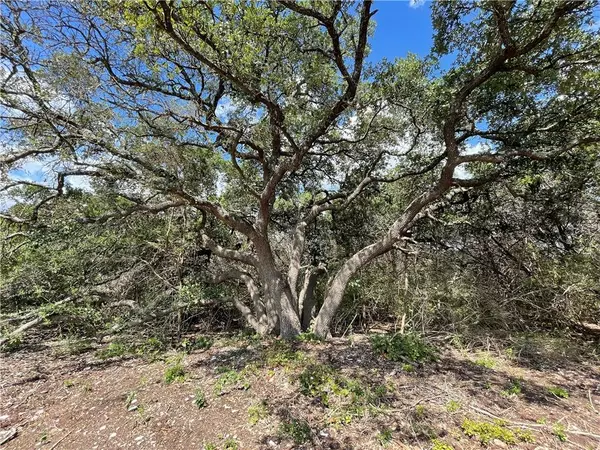 12321 Eagle Nest RD, Salado, TX 76571