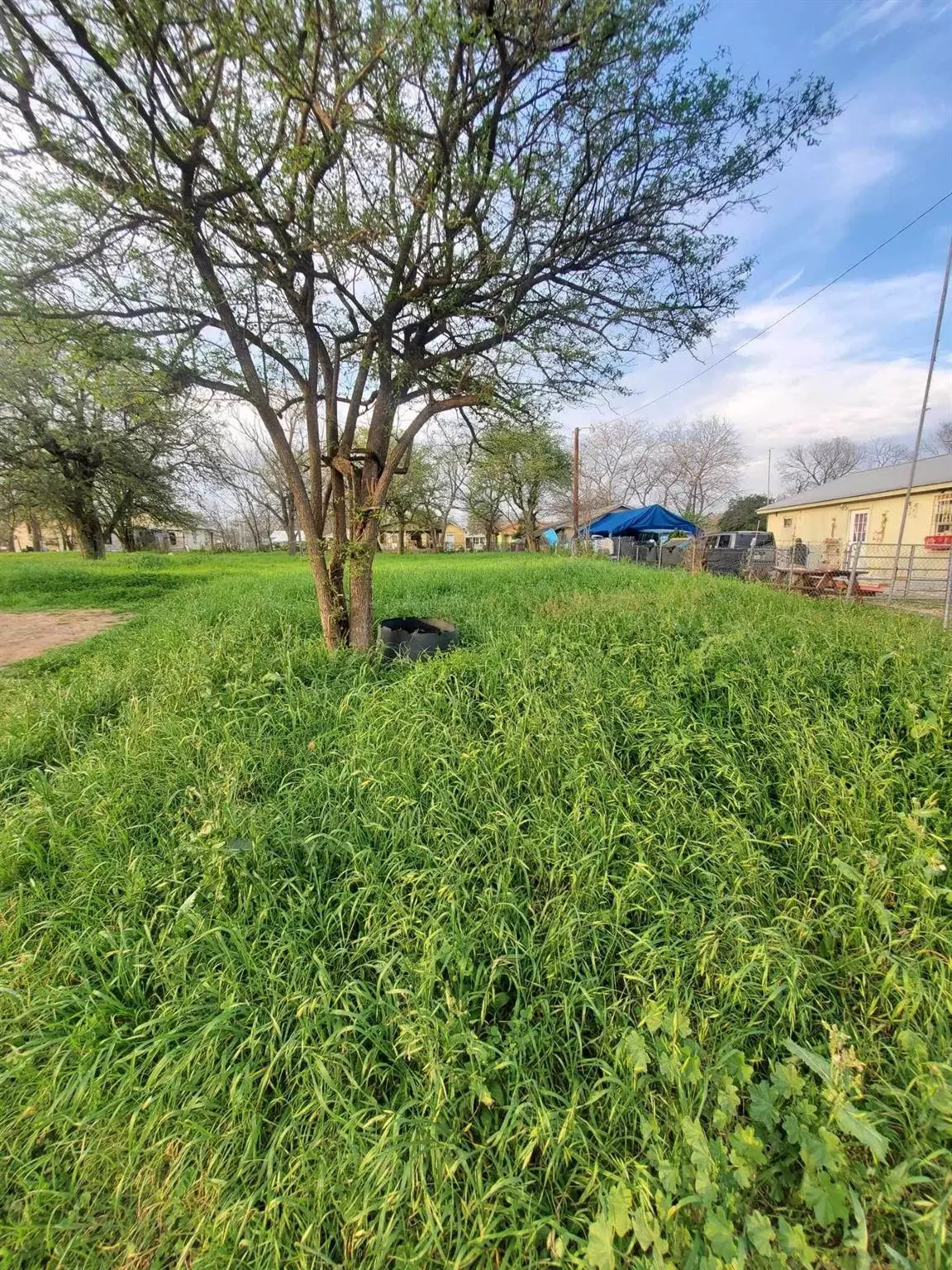 Seguin, TX 78155,lot 12 Dibrell Ave