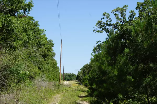 Rockdale, TX 76567,5548 County Road 322