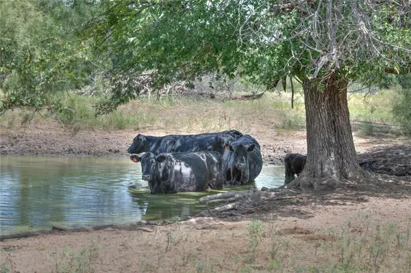 Coleman, TX 76888,1281 pr 3740