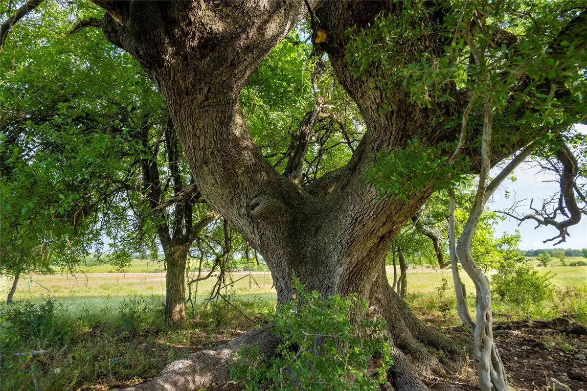 Briggs, TX 78608,000 CR 224