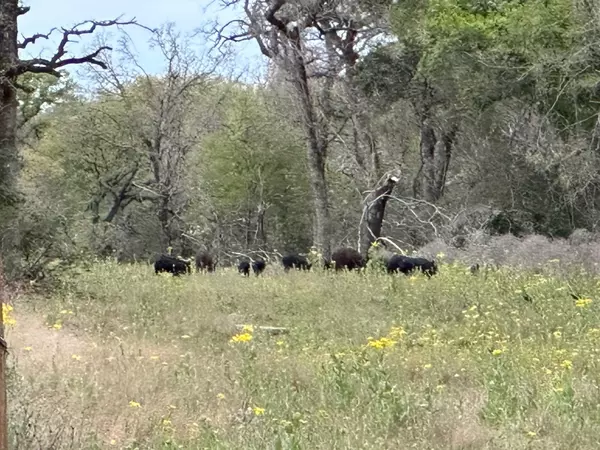 Gause, TX 77857,848 County Road 359