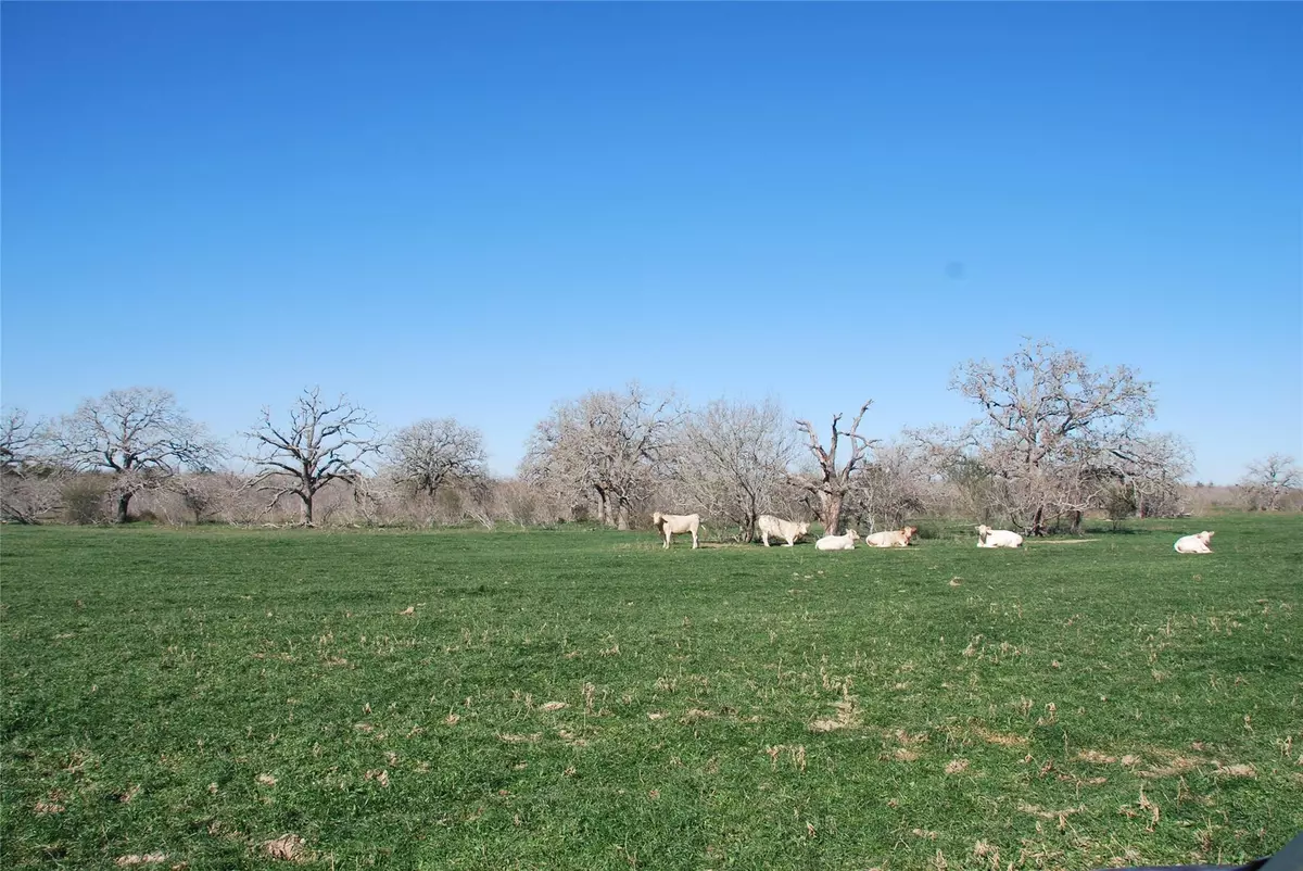 Flatonia, TX 78941,TBD County Rd 401