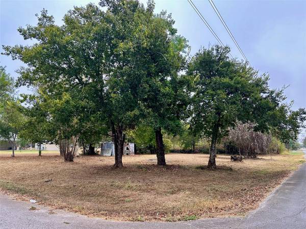 304 SE 4th ST, Smithville, TX 78957