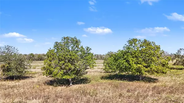 Tract 3 FM 3158, Dale, TX 78616
