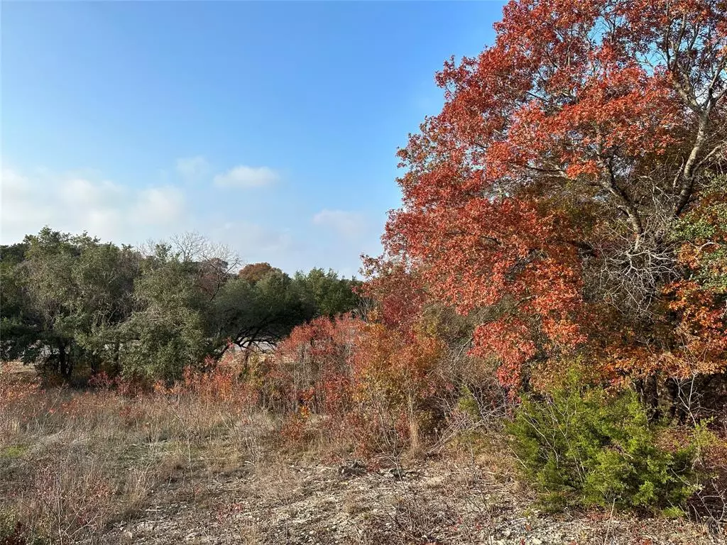 Gatesville, TX 76528,Lot 2 St Hwy 36