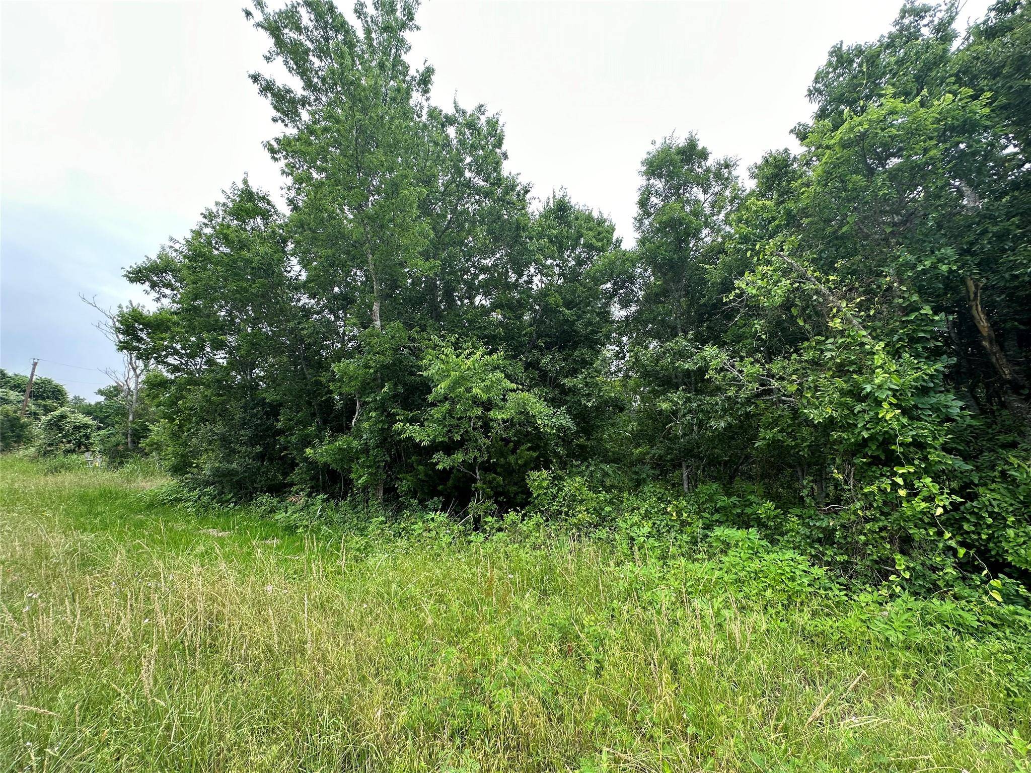 TBD Old McMahan RD, Lockhart, TX 78644