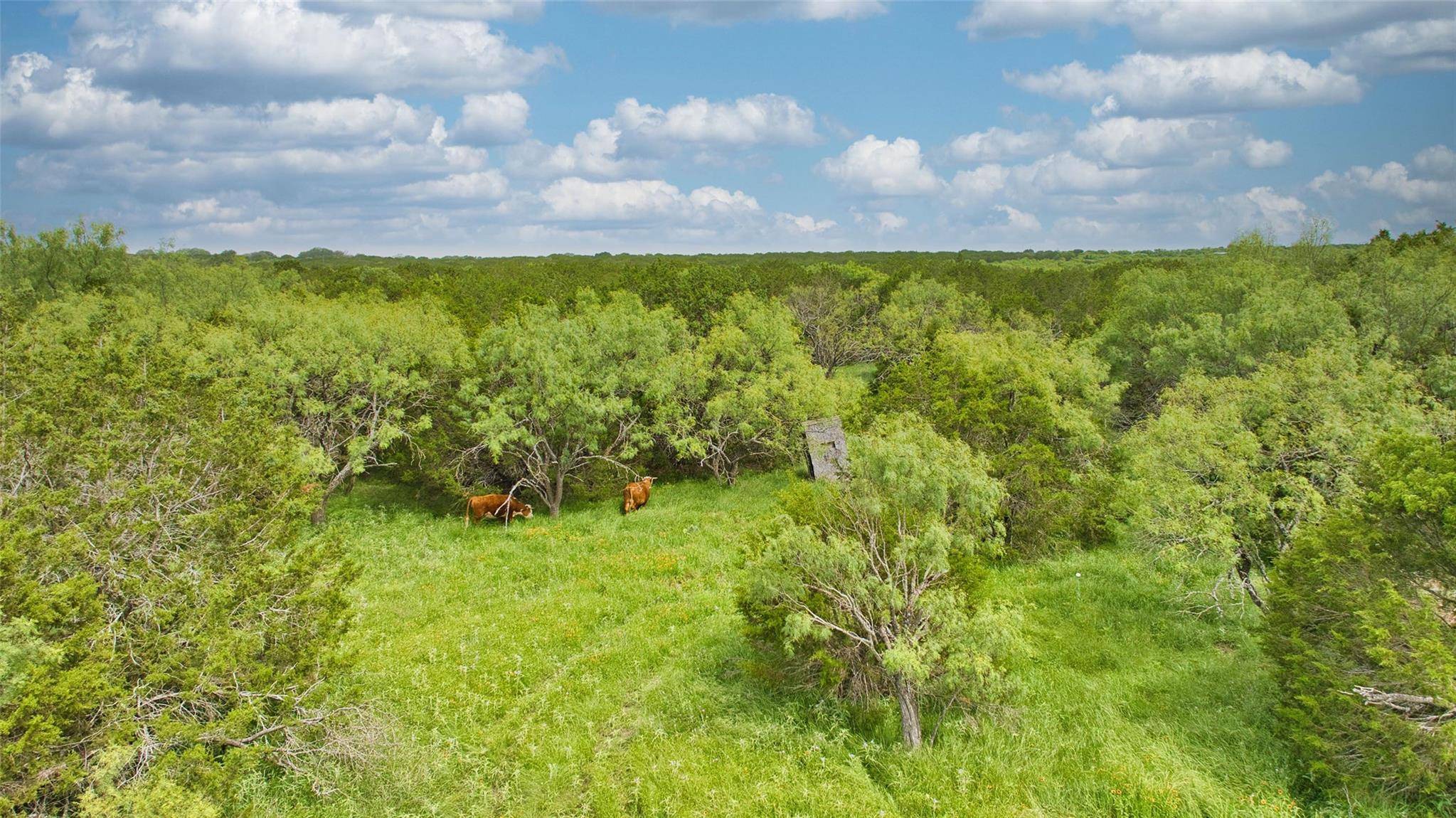 Lometa, TX 78653,Lot 4, 5060 W. Hwy 190