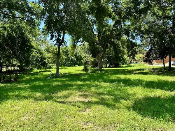 Lot 2 E Alamo ST, Elgin, TX 78621