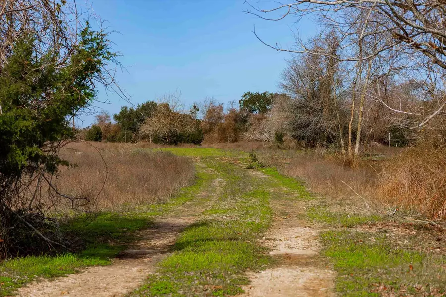 Tract 2 Walhalla RD, Round Top, TX 78954