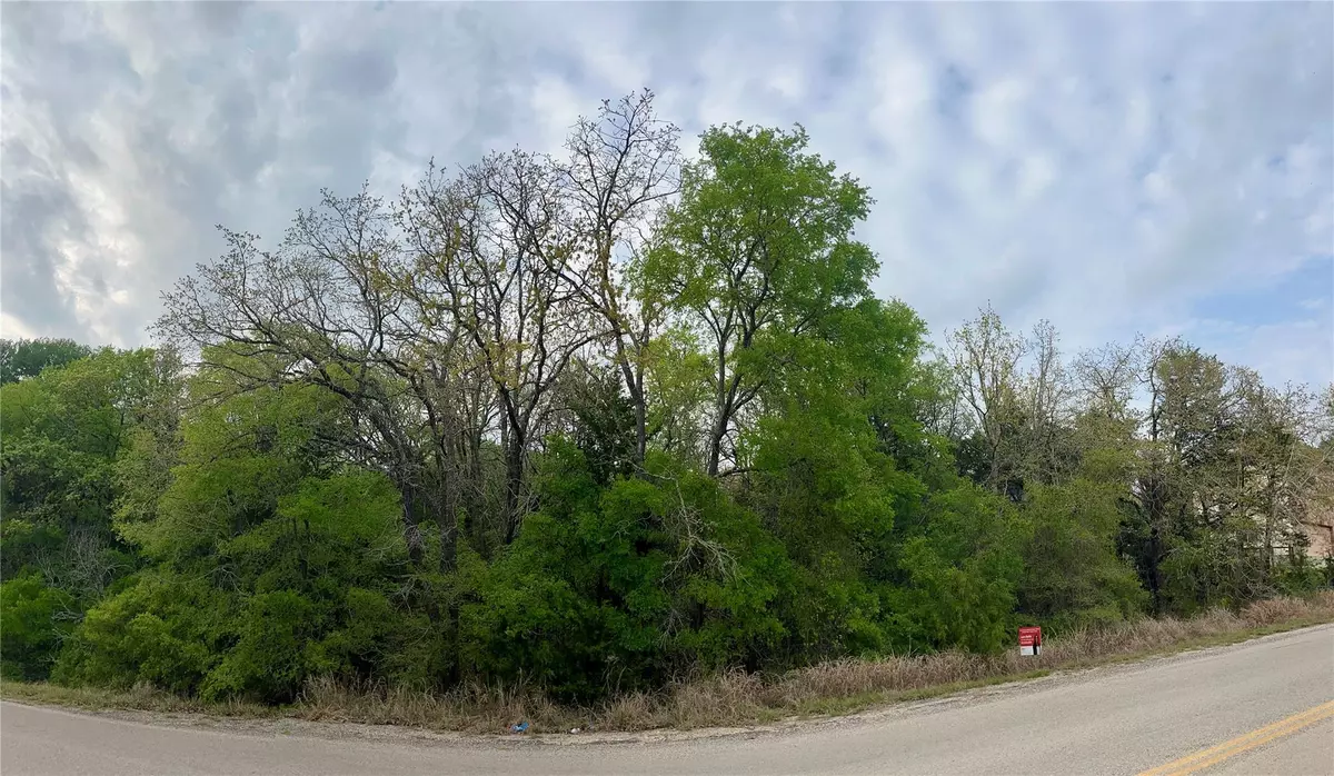 Bastrop, TX 78602,162 & 164 W Kaanapali LN