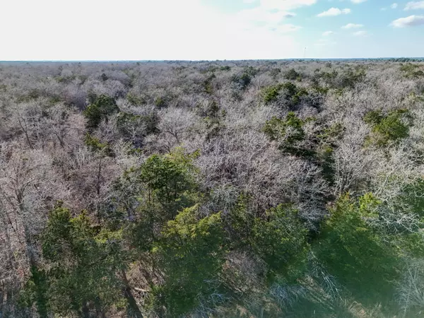 Paige, TX 78659,Lot 3 South Old Potato RD