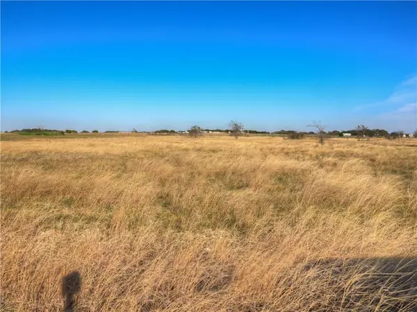 Bertram, TX 78605,131 Sun View RD