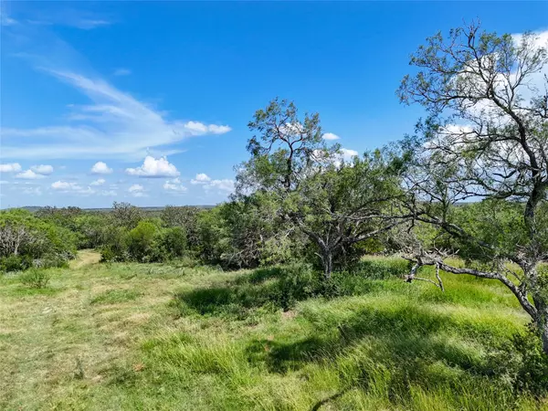 Lot 1 County Road 211, Smiley, TX 78159