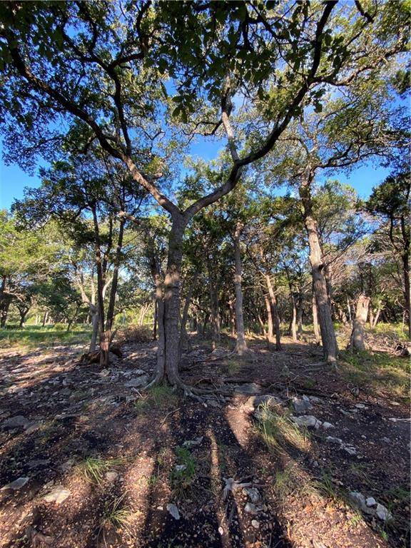 Wimberley, TX 78676,5165 Lone Man Mountain RD