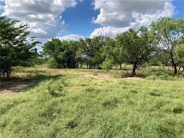 Prt off CR 210, Hico, TX 76457