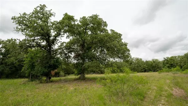 418-A County Road 405, Buckholts, TX 76518