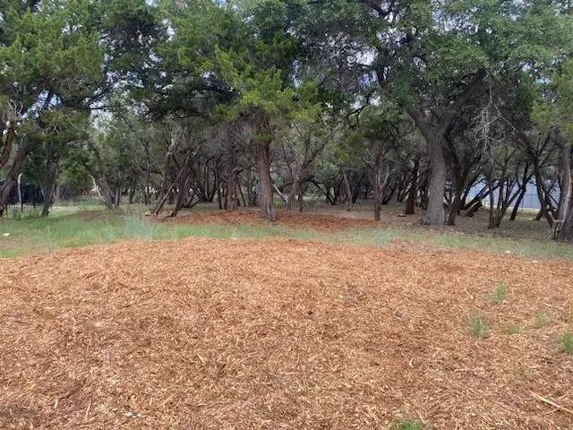 Lago Vista, TX 78645,18409 Lakeland DR