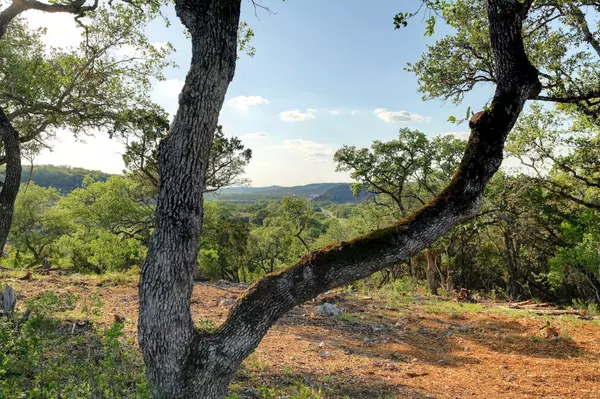 New Braunfels, TX 78132,10700 FM306