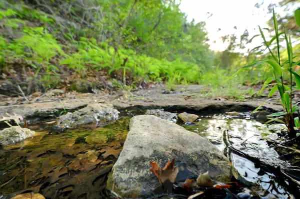 New Braunfels, TX 78132,10700 FM306