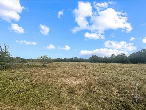 Muldoon, TX 78949,33+/- Acres Davis RD