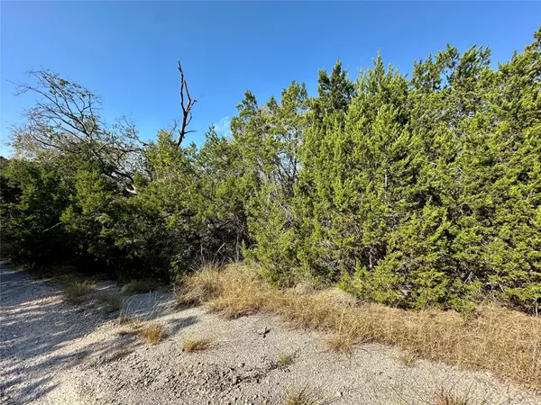 Lago Vista, TX 78645,9004 Timber TRL
