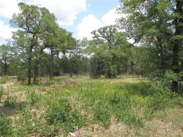 Smithville, TX 78957,TBD Thunderbird DR