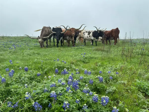 Coupland, TX 78615,1716 B CR 469