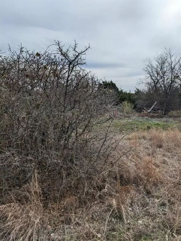 Lot 32 Windy Hill RD, Burnet, TX 78611