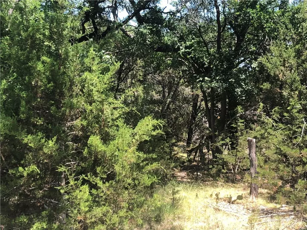 Wimberley, TX 78676,4 Pecos PATH