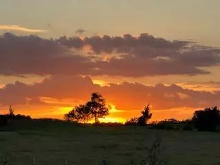 Mcdade, TX 78650,555 #C Paint Creek RD