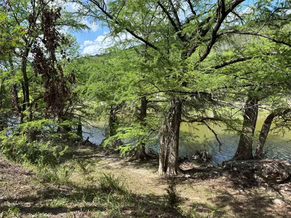 Dripping Springs, TX 78620,172 Bluff TRL