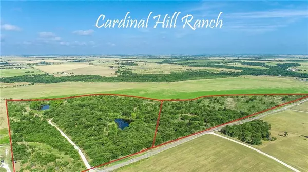 4400 County Road 450 (+/-17 acres), Thrall, TX 76578