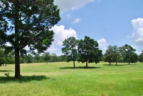 Rosanky, TX 78953,TBD Sandy LN