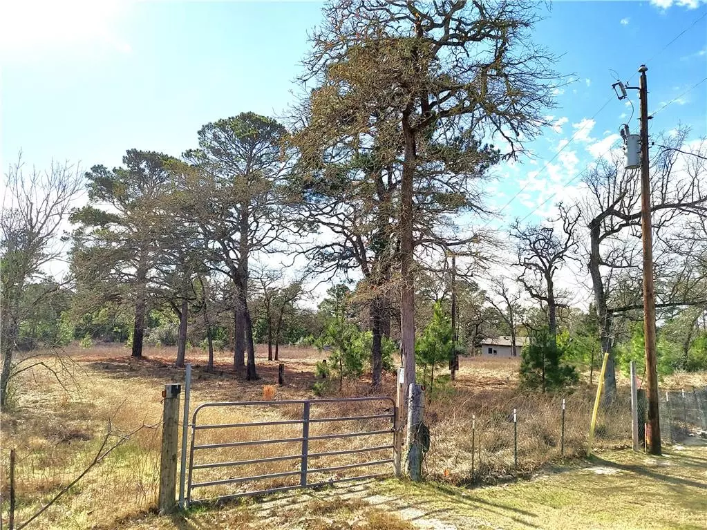 Paige, TX 78659,112 S Appaloosa CT