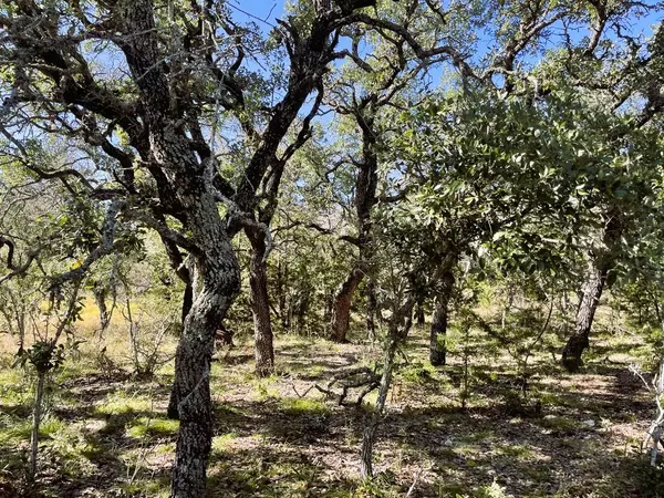 Mullin, TX 76864,1276 Fm 574 W