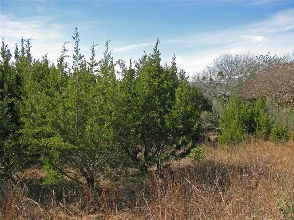 Lago Vista, TX 78645,4202 Vista Corta