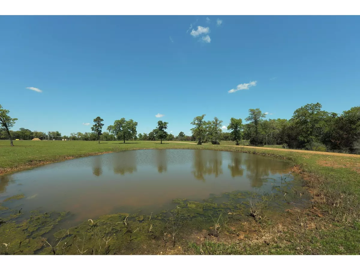 Smithville, TX 78957,170 Cricket Hollow LN S