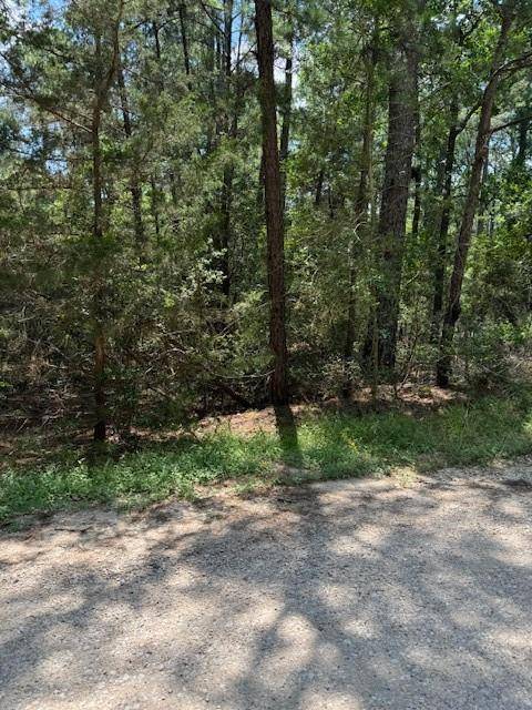 Lot 250 Hekili DR, Bastrop, TX 78602