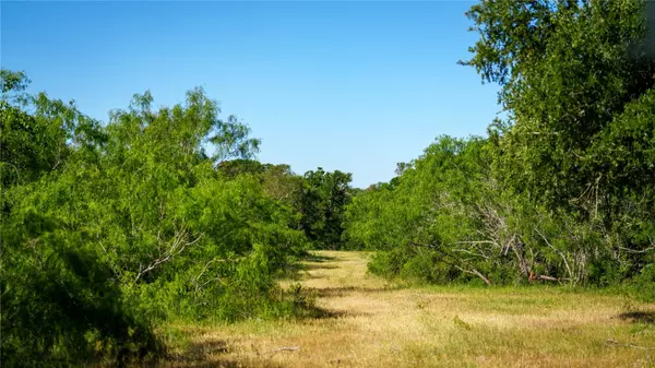 Cedar Creek, TX 78612,6125 FM 535