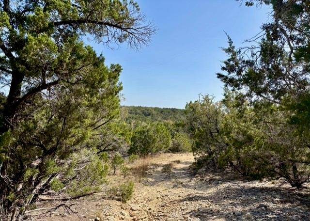220 Estates RD, Wimberley, TX 78676